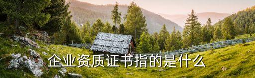企业资信证书是啥东西，企业资信等级证书