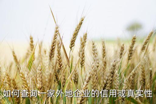 如何查询一家外地企业的信用或真实性
