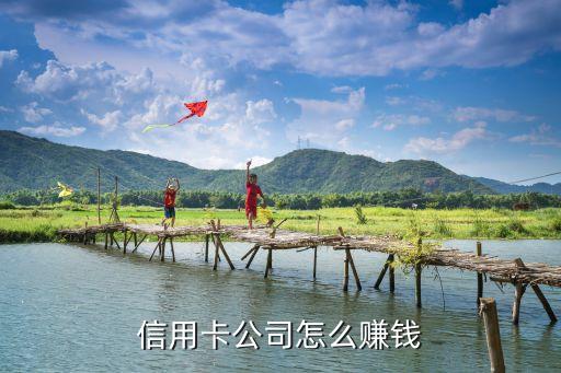 信用卡公司怎么赚钱