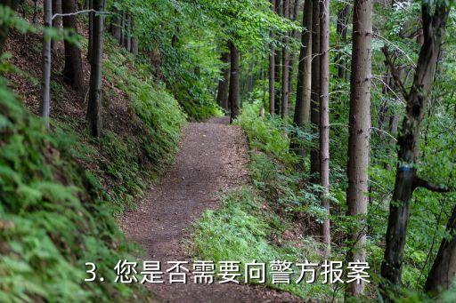 查询补办信用卡，信用卡遗失补办流程指南