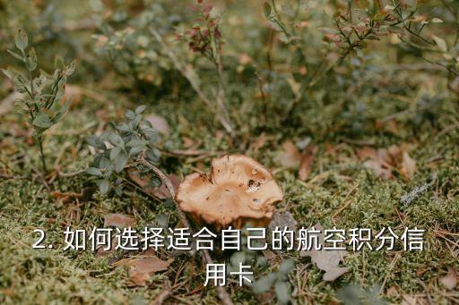 航空积分信用卡，积累空中里程的信用卡