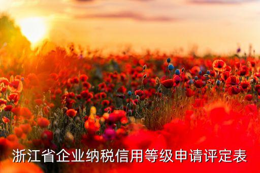 公司纳税信用等级去哪里填，纳税信用等级评定申报表怎么填写