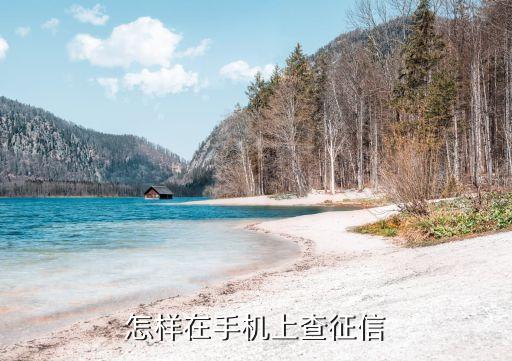 怎样在手机上查征信