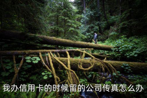 信用卡的公司信息怎么办，我想问问我办理的信用卡填写的公司名称公司信息能修改吗现在换公