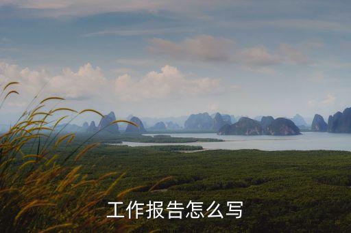 工作报告怎么写