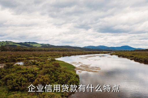 企业信用贷款有什么特点