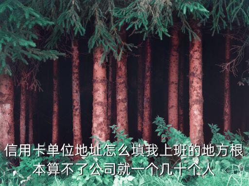 农行信用卡公司地址怎么填，我在潜江园林办事处章华中路58号办的农行卡别个单位要求我写开