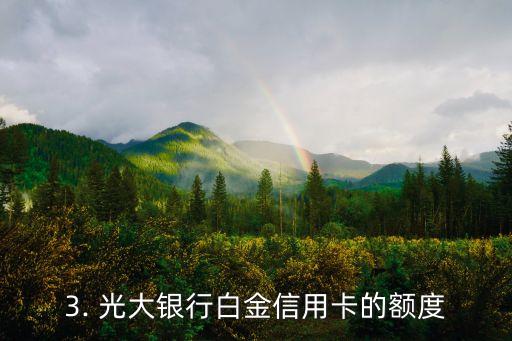 光大银行白金信用卡额度一般多少钱，光大银行白金信用卡的额度通常是多少？