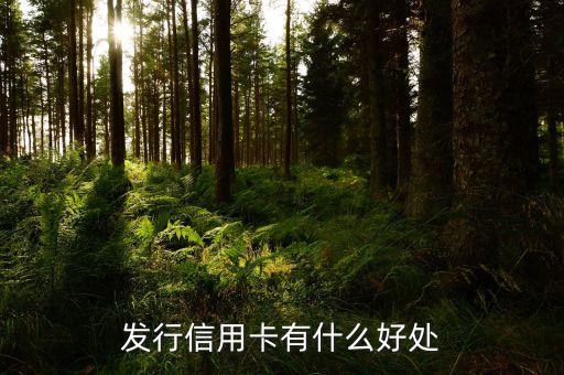 发行信用卡有什么好处