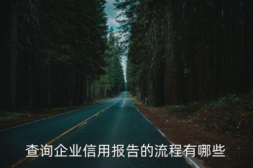 查询企业信用报告的流程有哪些