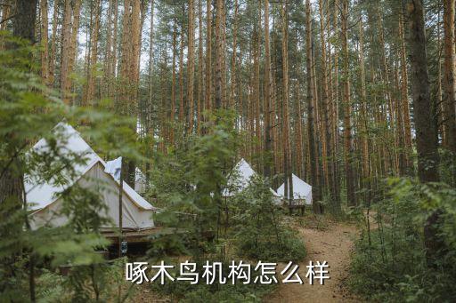 江西啄木鸟信用公司怎么样，啄木鸟机构怎么样