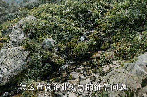 怎么查询企业公司的征信问题