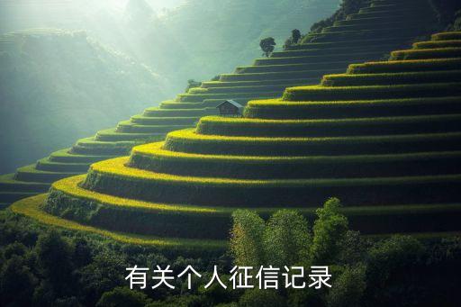 信用征信报告图片真实，个人征信报告