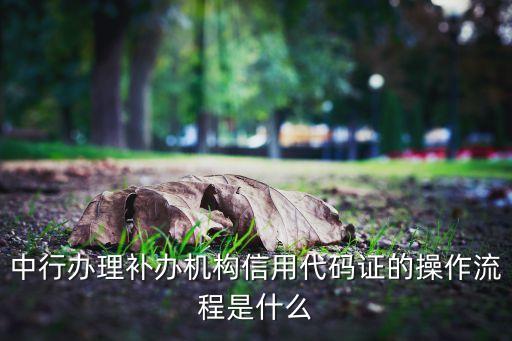 中行办理补办机构信用代码证的操作流程是什么
