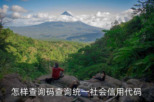 怎样查询码查询统一社会信用代码