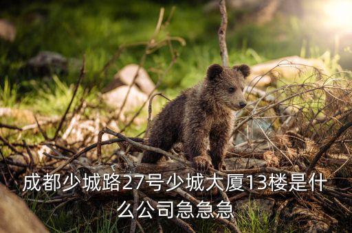 成都少城路27号少城大厦13楼是什么公司急急急