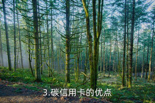 碳账户信用卡，碳信用卡：环保与信用并存的新选择