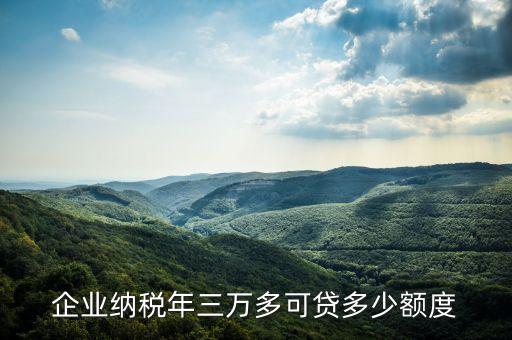 企业纳税年三万多可贷多少额度