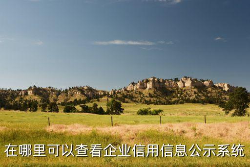 在哪里可以查看企业信用信息公示系统