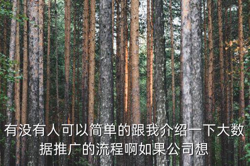 大数据查询代理推广，大数据推广的优势是什么