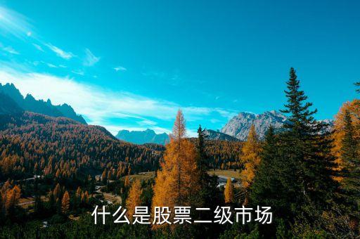 什么是股票二级市场