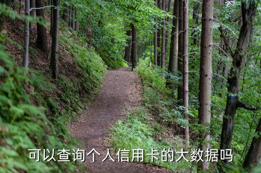 可以查询个人信用卡的大数据吗