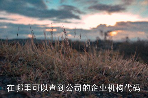 在哪里可以查到公司的企业机构代码
