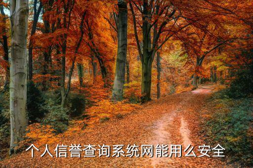 个人信誉查询系统网能用么安全