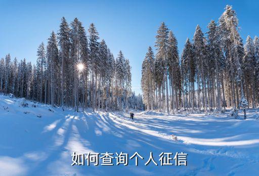 如何查询个人征信