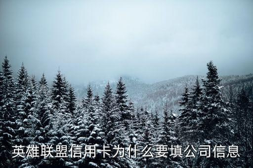 办信用卡为什么要公司信息，英雄联盟信用卡为什么要填公司信息