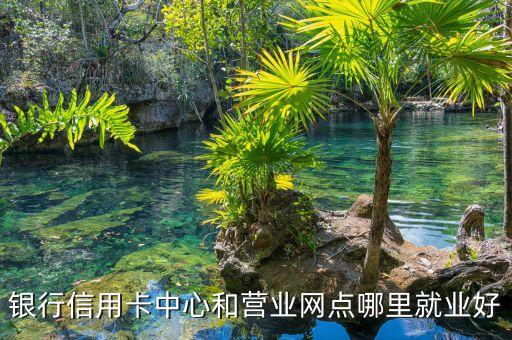 银行信用卡中心和营业网点哪里就业好