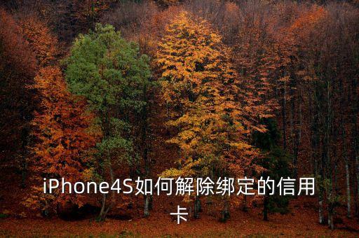 iPhone4S如何解除绑定的信用卡