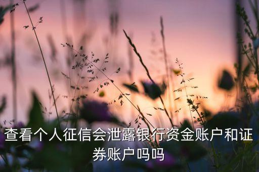 查看个人征信会泄露银行资金账户和证券账户吗吗