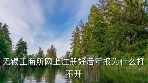 无锡工商所网上注册好后年报为什么打不开