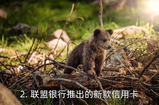 联盟银行信用卡，联盟银行推出新款信用卡