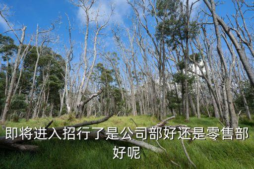 即将进入招行了是公司部好还是零售部好呢