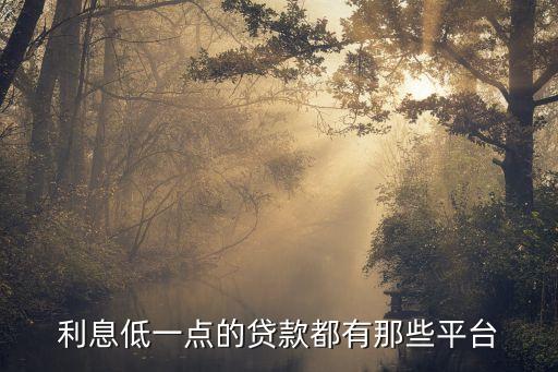 利息低一点的贷款都有那些平台