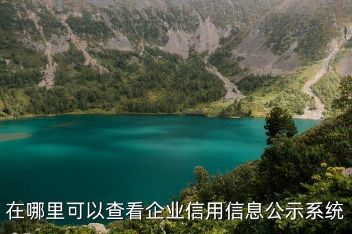 在哪里可以查看企业信用信息公示系统