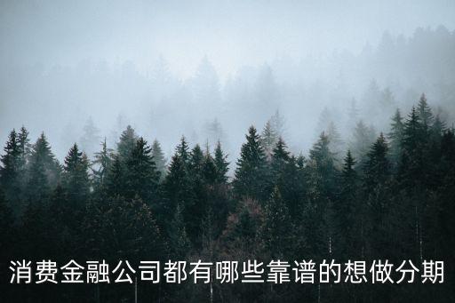 消费信用融资公司有哪些，国内消费金融公司有哪些