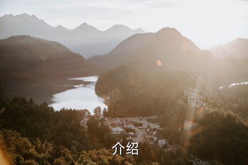 介绍