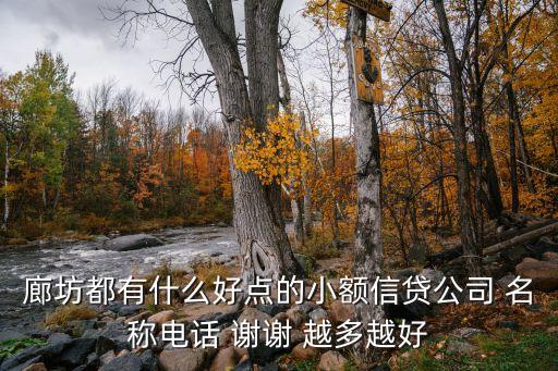 廊坊都有什么好点的小额信贷公司 名称电话 谢谢 越多越好