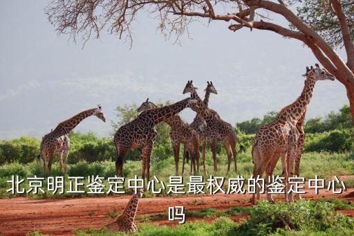 北京明正鉴定中心是最权威的鉴定中心吗