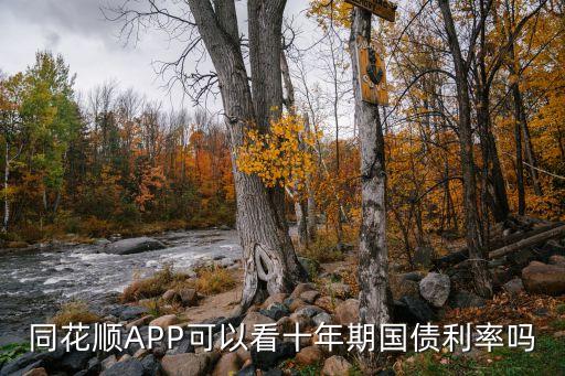 同花顺APP可以看十年期国债利率吗