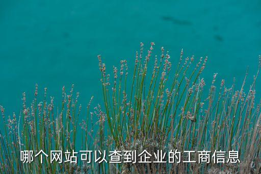 在线查询企业信息的网站，哪个网站可以查询公司信息吗
