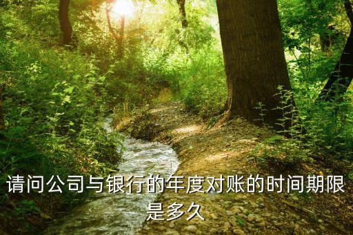 请问公司与银行的年度对账的时间期限是多久