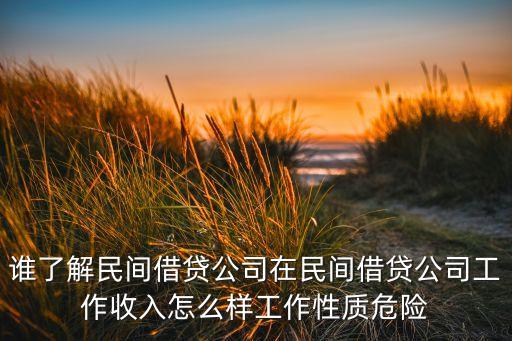 谁了解民间借贷公司在民间借贷公司工作收入怎么样工作性质危险