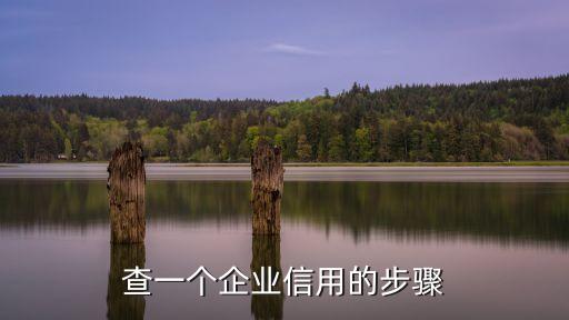 查一个企业信用的步骤