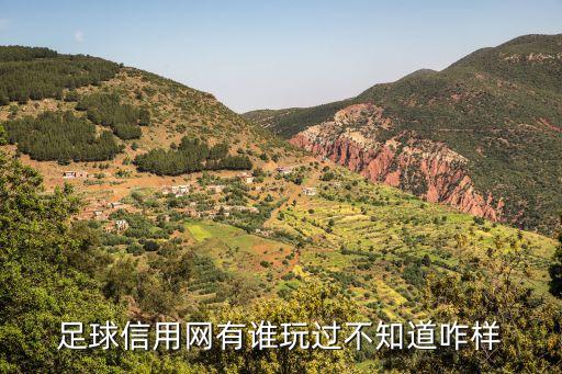 足球信用网有谁玩过不知道咋样