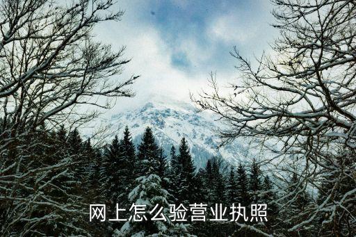 网上怎么验营业执照