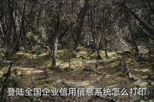 登陆全国企业信用信息系统怎么打印